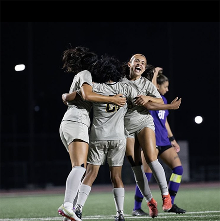 A group of soccer players celebrating on the pitch.