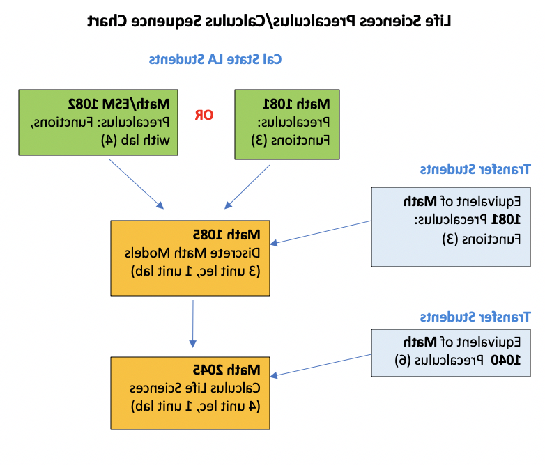 生命科学课程流程图生物专业