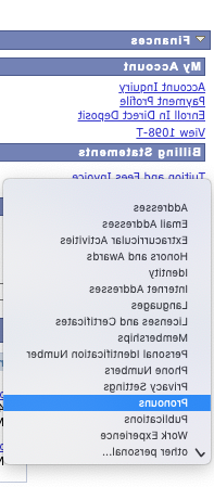 Screenshot of Student Center with 代词 option highlighted