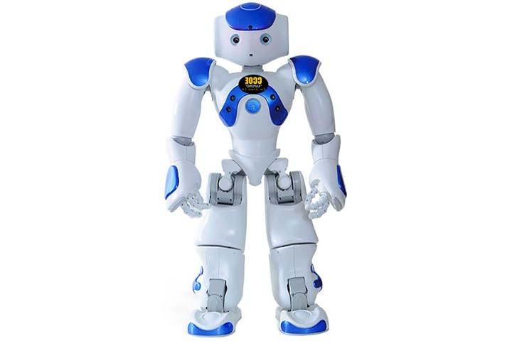 Kapono humanoid robot.