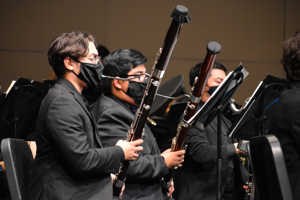 Wind ensemble bassoons