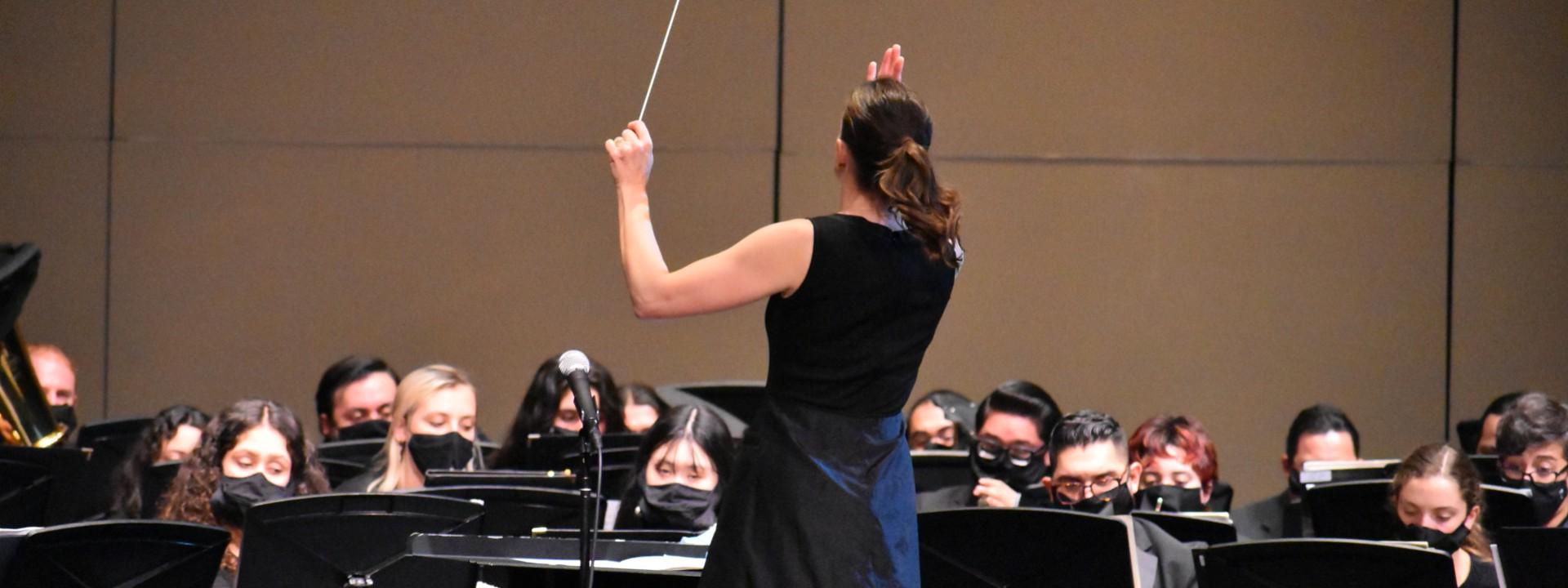 Wind ensemble, conductor back shot